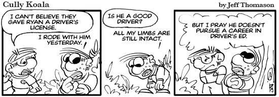 daily comic