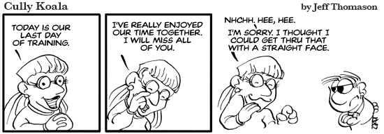 daily comic