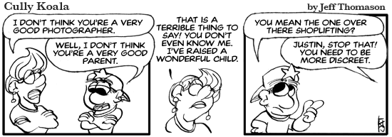 daily comic